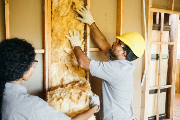 Best Commercial Insulation Contractor  in Village Of Oak Creek, AZ