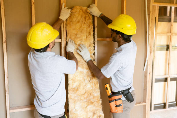 Best Insulation Replacement Services  in Village Of Oak Creek, AZ